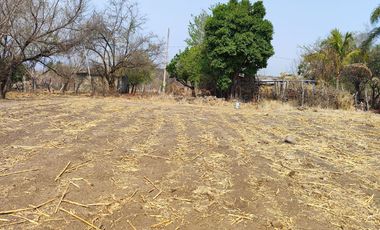 Vendo terreno plano de 400 m2 ubicado en la col. Eterna Primavera,   Santa Ursula, Temixco, Mor.