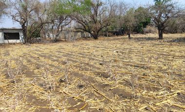 Vendo terreno plano de 400 m2 ubicado en la col. Eterna Primavera,   Santa Ursula, Temixco, Mor.