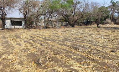 Vendo terreno plano de 400 m2 ubicado en la col. Eterna Primavera,   Santa Ursula, Temixco, Mor.