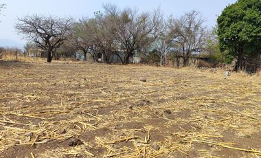 Vendo terreno plano de 400 m2 ubicado en la col. Eterna Primavera,   Santa Ursula, Temixco, Mor.