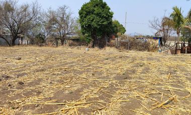 Vendo terreno plano de 400 m2 ubicado en la col. Eterna Primavera,   Santa Ursula, Temixco, Mor.