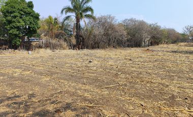 Vendo terreno plano de 400 m2 ubicado en la col. Eterna Primavera,   Santa Ursula, Temixco, Mor.