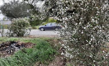 TERRENOS EN VENTA, SECTOR MALCHINGUI, TABACUNDO, $30.000, 980M2