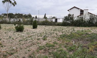 TERRENOS EN VENTA, SECTOR MALCHINGUI, TABACUNDO, $30.000, 980M2