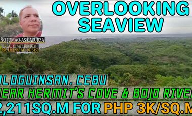 Overlooking Seaview lot for sale 2,211 sqm Aloguinsan, Cebu 3k/sqm