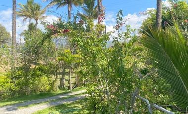 Quinta en venta sector Sol y Agua - Yunguilla 36.000m2T LOTIZABLE Azuay