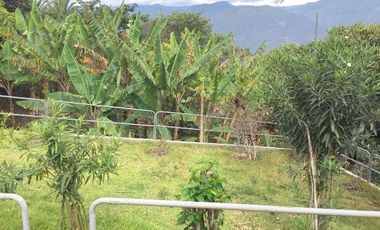 Quinta en venta sector Sol y Agua - Yunguilla 36.000m2T LOTIZABLE Azuay