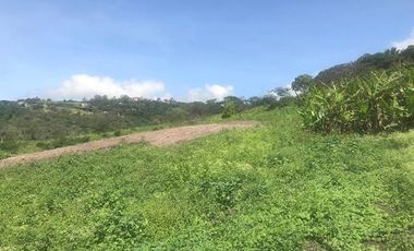 Quinta en venta sector Sol y Agua - Yunguilla 36.000m2T LOTIZABLE Azuay