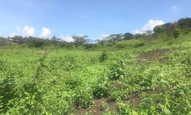 Quinta en venta sector Sol y Agua - Yunguilla 36.000m2T LOTIZABLE Azuay