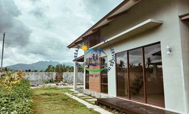 Brand New House and Lot for Sale in Aduna Beach Villas ,  Guinsay, Danao City, Cebu
