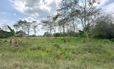Remato terrenos con uso Industrial en Parque Industrial Colinas del Sureste, Tabasco.