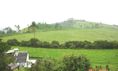 VENDO HERMOSA HACIENDA 75 HECTAREAS  UBICADA EN OTAVALO