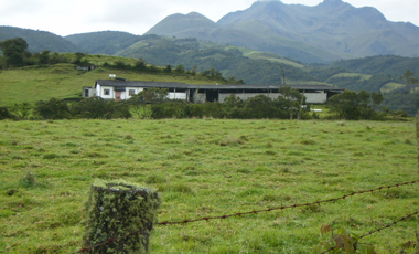 VENDO HERMOSA HACIENDA 75 HECTAREAS  UBICADA EN OTAVALO