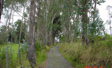 VENDO HERMOSA HACIENDA 75 HECTAREAS  UBICADA EN OTAVALO
