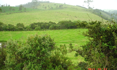 VENDO HERMOSA HACIENDA 75 HECTAREAS  UBICADA EN OTAVALO