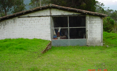 VENDO HERMOSA HACIENDA 75 HECTAREAS  UBICADA EN OTAVALO