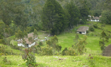 VENDO HERMOSA HACIENDA 75 HECTAREAS  UBICADA EN OTAVALO