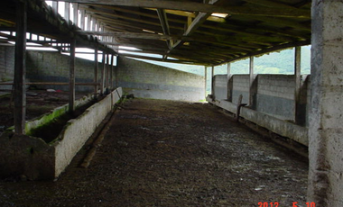 VENDO HERMOSA HACIENDA 75 HECTAREAS  UBICADA EN OTAVALO