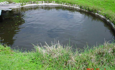 VENDO HERMOSA HACIENDA 75 HECTAREAS  UBICADA EN OTAVALO