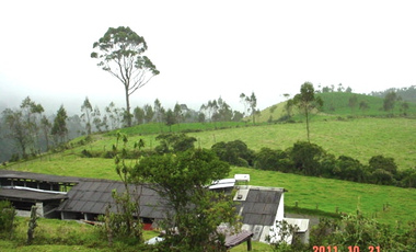 VENDO HERMOSA HACIENDA 75 HECTAREAS  UBICADA EN OTAVALO