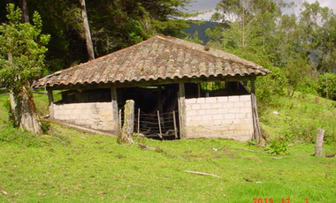 VENDO HERMOSA HACIENDA 75 HECTAREAS  UBICADA EN OTAVALO