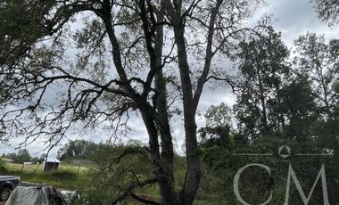 Parcela con casa sector chancoyan bajo en Valdivia