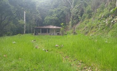 Venta Finca Agrícola y de Recreo en Cocorná Antioquia