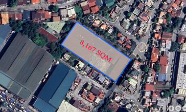 8,167 sqm Lot for Sale in Las Piñas City, Alabang Zapote Road