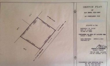 For Sale 3050 Sqm Lot in Tayud, Liloan Cebu