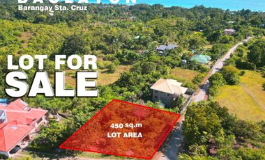 Lot for Sale located in Sta. Cruz, Baclayon, Bohol
