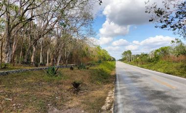 Vendo 5 Hectareas en breña a pie de carretera en Municipio Leona Vicario