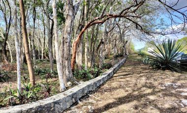 Vendo 5 Hectareas en breña a pie de carretera en Municipio Leona Vicario