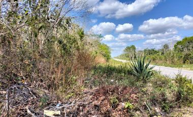 Vendo 5 Hectareas en breña a pie de carretera en Municipio Leona Vicario