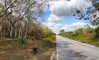 Vendo 5 Hectareas en breña a pie de carretera en Municipio Leona Vicario