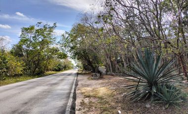 Vendo 5 Hectareas en breña a pie de carretera en Municipio Leona Vicario