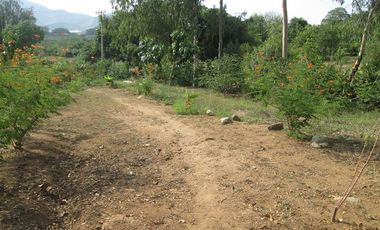 TERRENO DE 5 HTS EN SANTA MARTA SECTOR BURECHE.