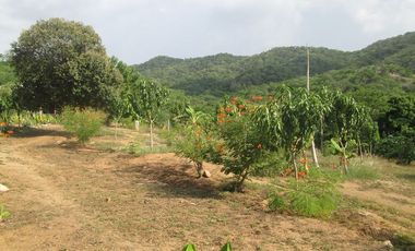 TERRENO DE 5 HTS EN SANTA MARTA SECTOR BURECHE.