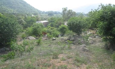 TERRENO DE 5 HTS EN SANTA MARTA SECTOR BURECHE.