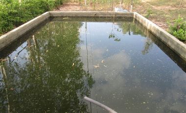 TERRENO DE 5 HTS EN SANTA MARTA SECTOR BURECHE.