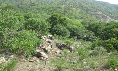 TERRENO DE 5 HTS EN SANTA MARTA SECTOR BURECHE.