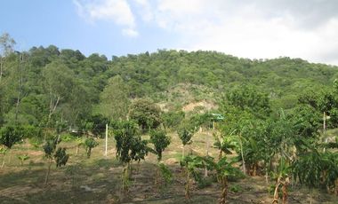 TERRENO DE 5 HTS EN SANTA MARTA SECTOR BURECHE.