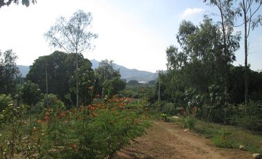 TERRENO DE 5 HTS EN SANTA MARTA SECTOR BURECHE.