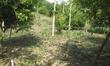 TERRENO DE 5 HTS EN SANTA MARTA SECTOR BURECHE.