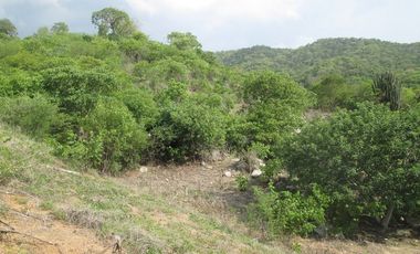 TERRENO DE 5 HTS EN SANTA MARTA SECTOR BURECHE.