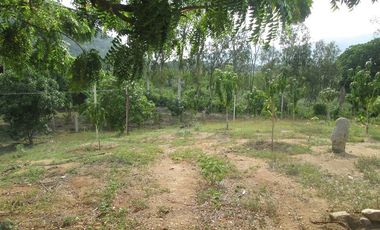 TERRENO DE 5 HTS EN SANTA MARTA SECTOR BURECHE.