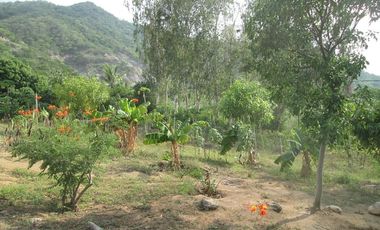 TERRENO DE 5 HTS EN SANTA MARTA SECTOR BURECHE.