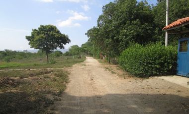 TERRENO DE 5 HTS EN SANTA MARTA SECTOR BURECHE.