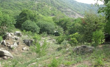 TERRENO DE 5 HTS EN SANTA MARTA SECTOR BURECHE.