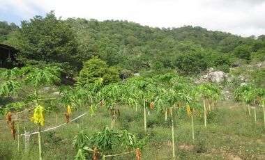 TERRENO DE 5 HTS EN SANTA MARTA SECTOR BURECHE.