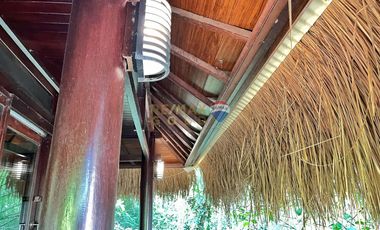For Sale: 5,321 sqm Beach House in Malimatoc Mabini Batangas